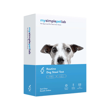 MySimplePetLab Stool Test for Worms, Coccidia & Giardia for Dogs